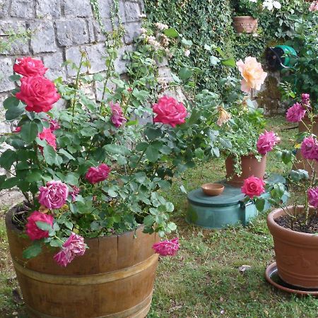 Casa Titty Daire Serre Di Rapolano Dış mekan fotoğraf