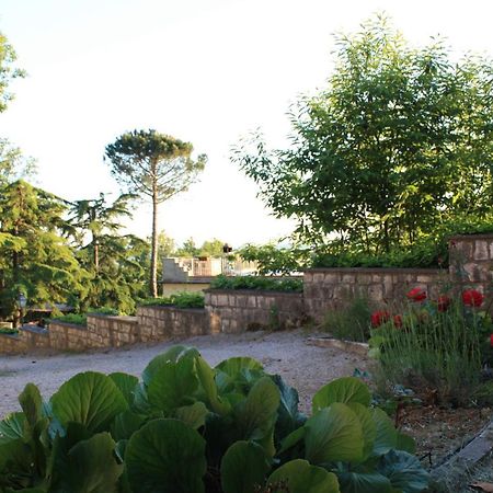 Casa Titty Daire Serre Di Rapolano Dış mekan fotoğraf