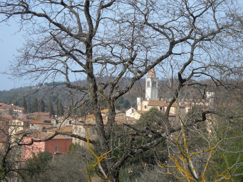 Casa Titty Daire Serre Di Rapolano Oda fotoğraf